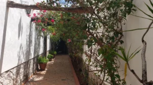 Fotos_casa_en_renta_calzada_slp